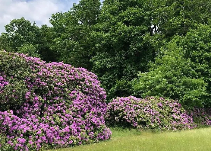 Chateau Du Gue Aux Biches Отель типа 