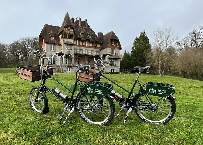 Bed & Breakfast Chateau Du Gue Aux Biches